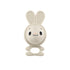 Fisher Price Sensimals Gift Set